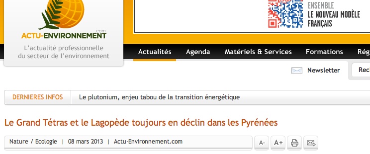 2013 03 26 Gd et petit tétras